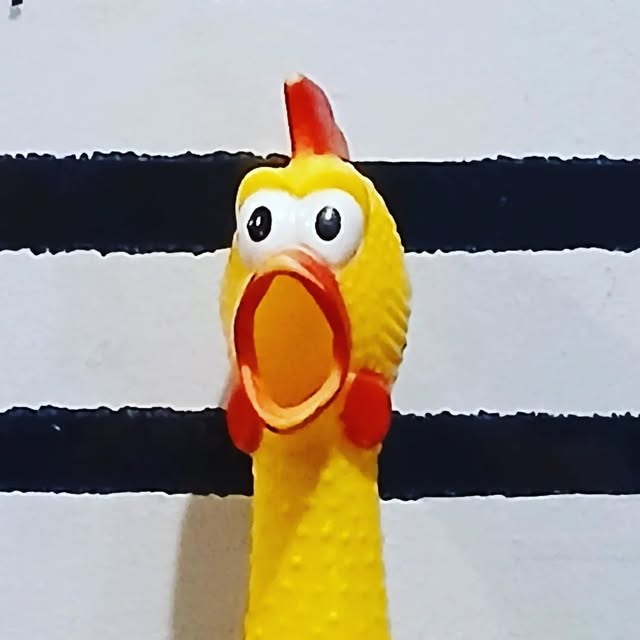 two balck horixontal bars on a white background with the neck and face of a rubber chicken dog toy