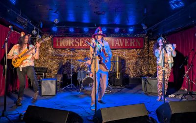 Folk, Funk, and Freaks: A Night with Anti-Spectacular, Cabin Fever, and The Great Tick Eater at the Horseshoe Tavern