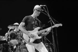 kimmitchell1