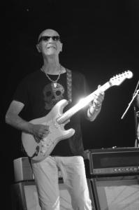 kimmitchell2