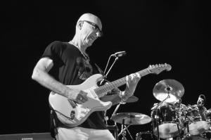 kimmitchell4