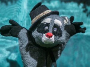 The Great Garbagini (Magician Raccoon)
